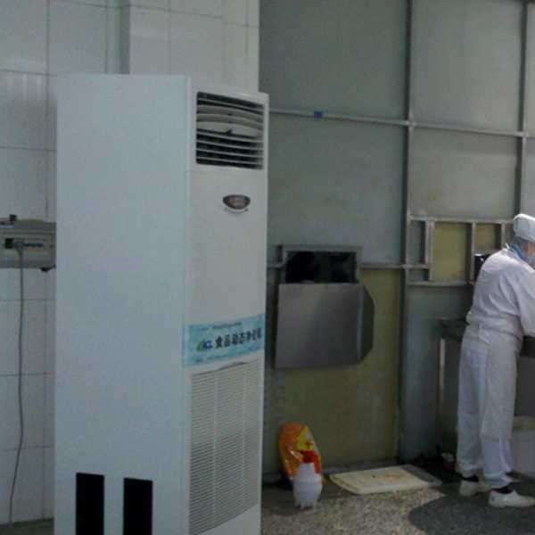 宁河食品正负离子空气杀菌器